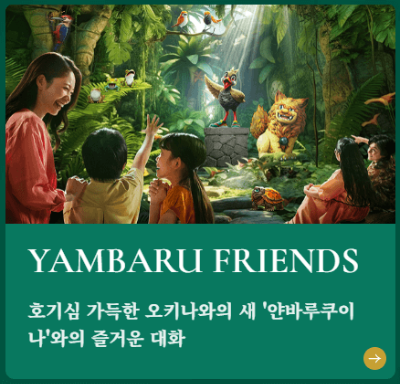 정글리아, 어트랙션