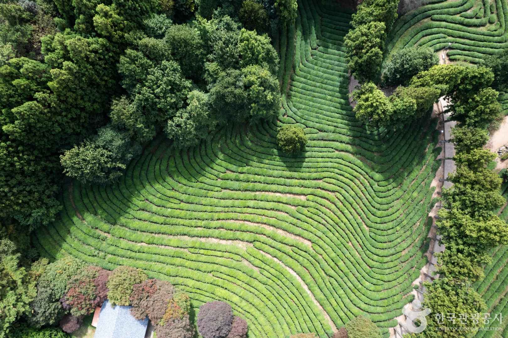 2025년 봄나들이