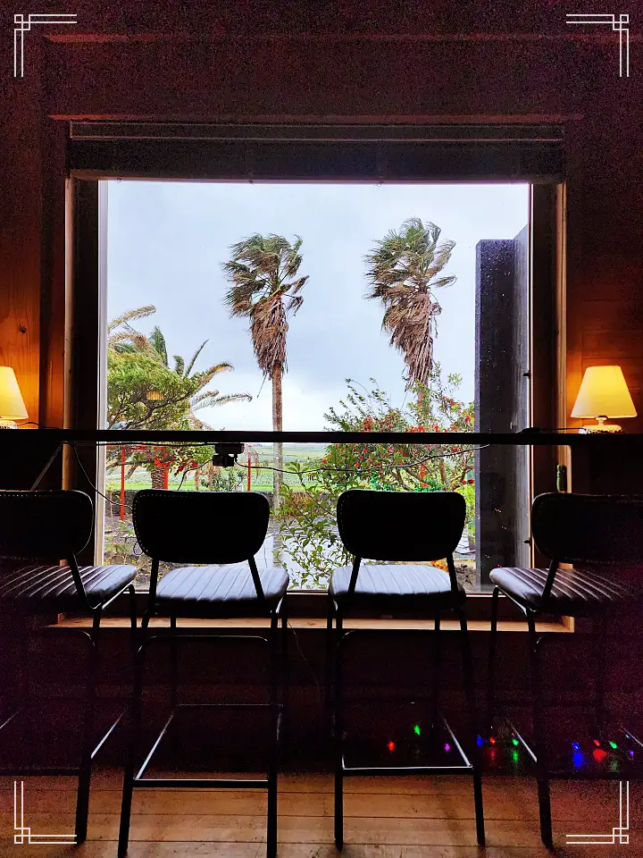 트렌드스페셜 제주 수월봉 차귀도 감성 가득 타르트 크로와상 디저트 카페 맛집