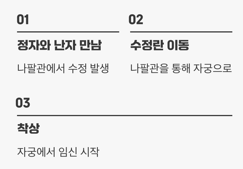 아기를 기다리는 길, 나팔관의 중요성