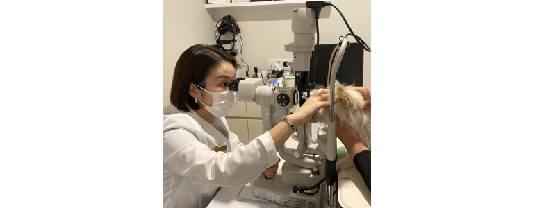 남양주시 동물병원