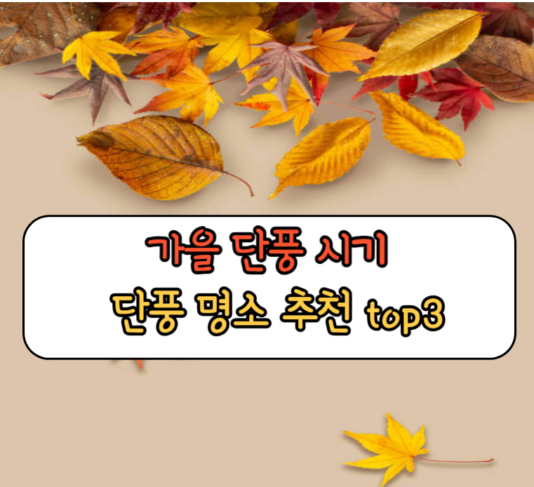 가을-단풍-시기