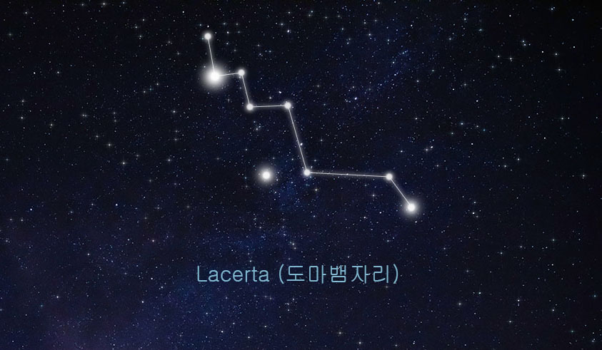 도마뱀자리 관련 이미지