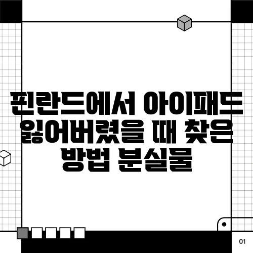 핀란드에서 아이패드 잃어버렸을 때 찾은 방법 분실물 
