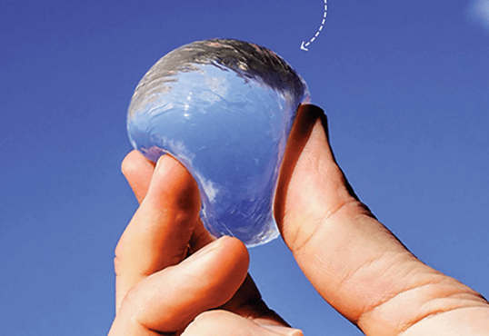 뱃놀이축제무료체험프로그램