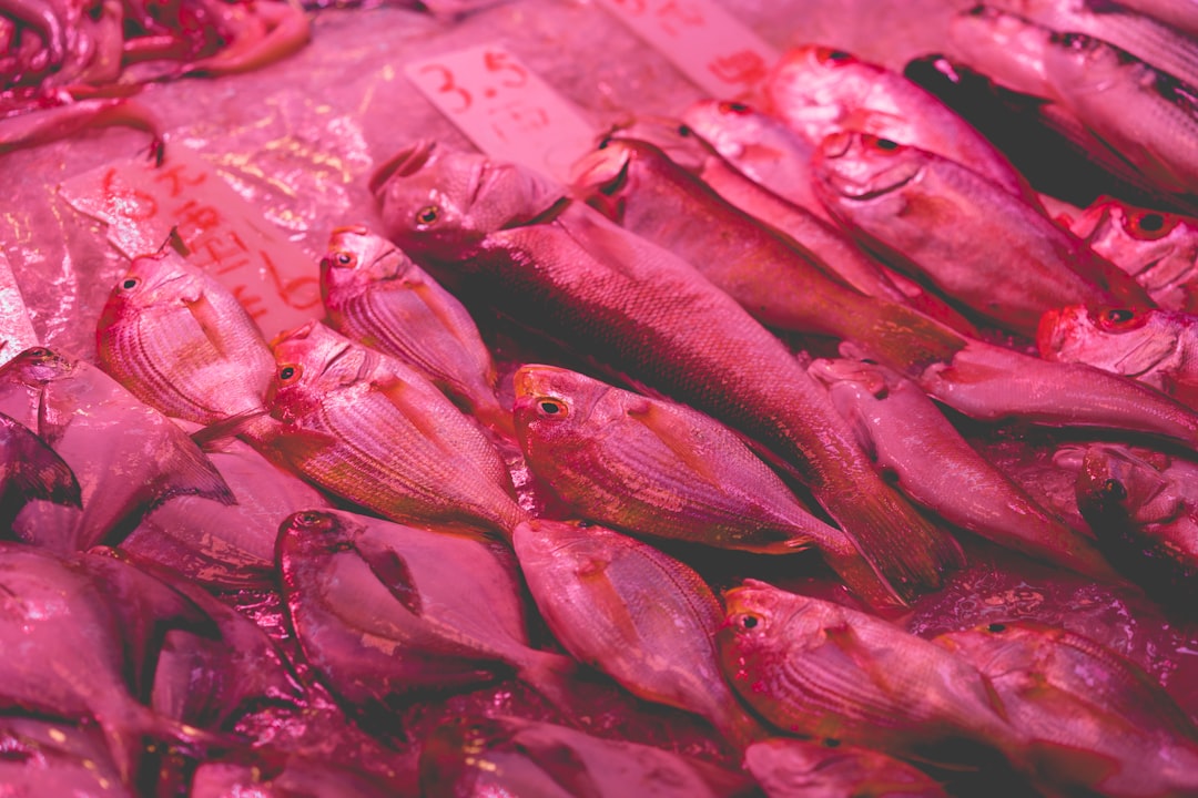 Fish market