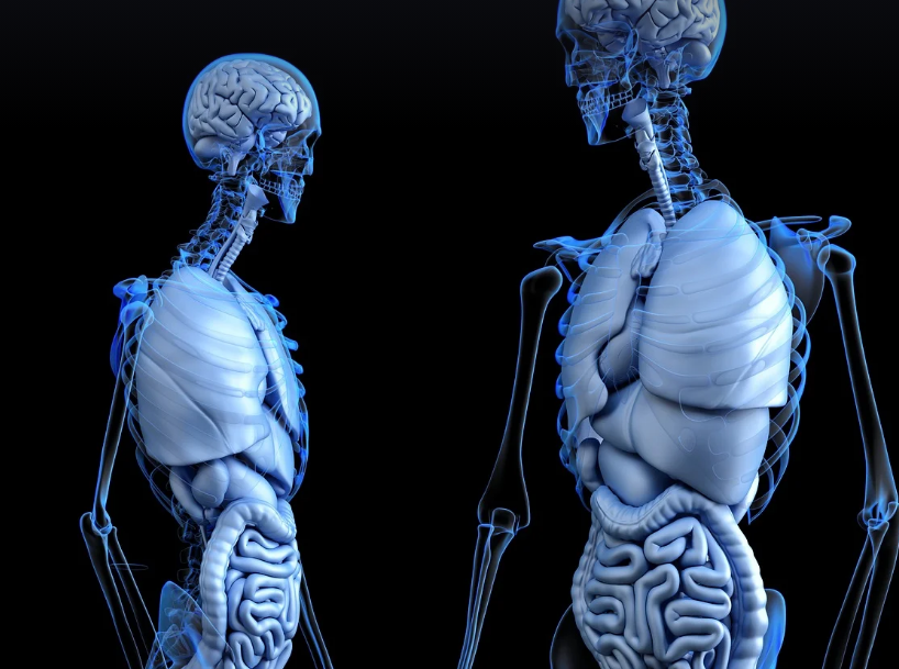 인간을 표현하는 사진