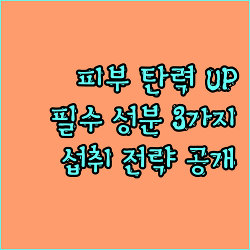 피부 탄력 고민 해결: 콜라겐, 비타