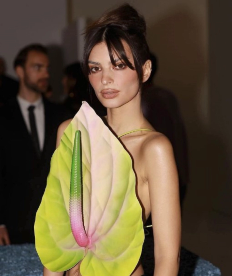 에밀리 라타이코프스키 해리 스타일스 열애설 및 에밀리 라타이코프스키 인스타그램 프로필 