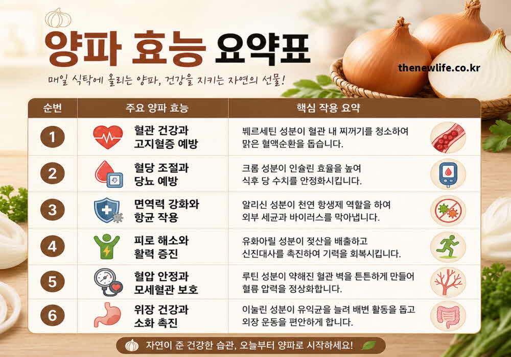양파 효능 요약표