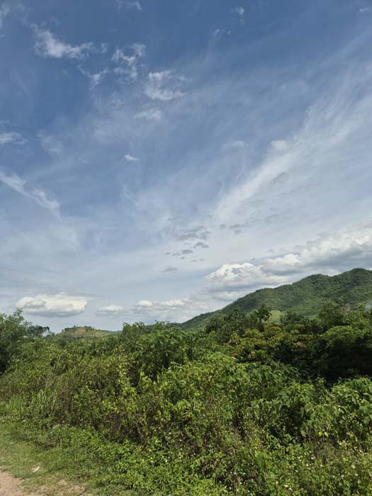 산속 도로