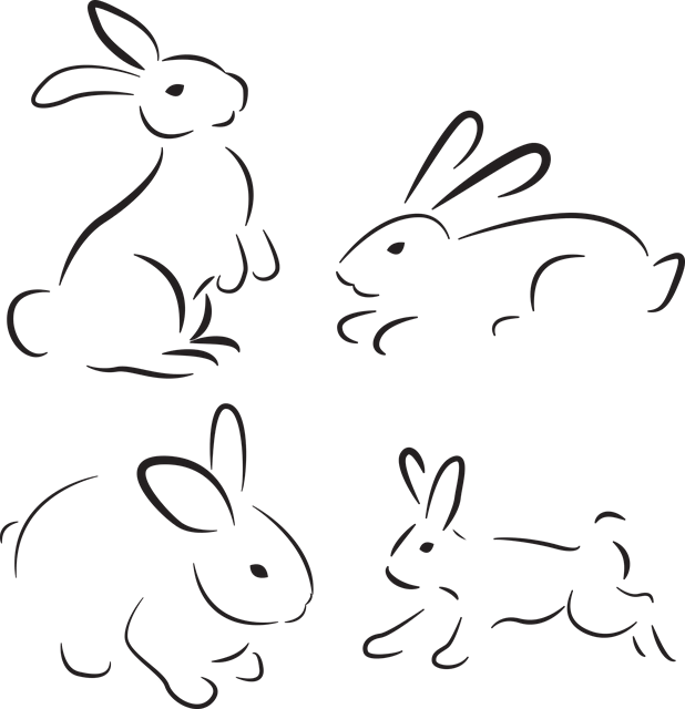 을사년 신년운세