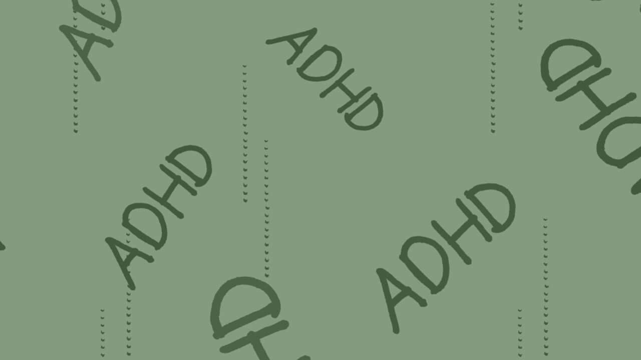 성인 ADHD 증상