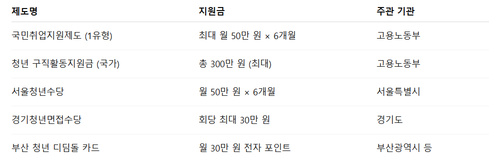 취업준비 청년 지원금