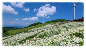 해발 1&amp;#44;256m에 위치한 청옥산전망대