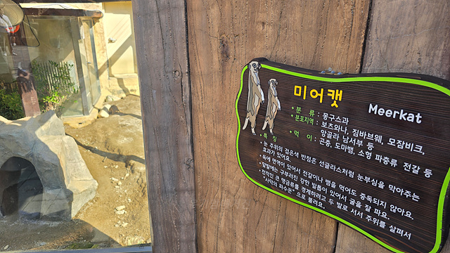순천만국가정원 어린이 동물원 서문 순천여행 24년 11월 사진
