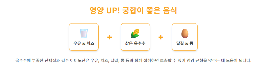 삶은 옥수수, 맛있게 먹고 건강까지 챙기는 방법! 효능, 부작용, 칼로리 총정리