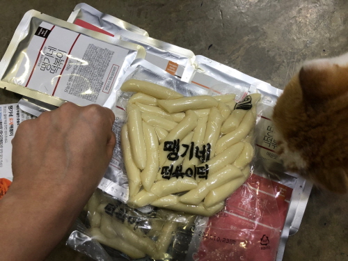 떡볶이쇼핑