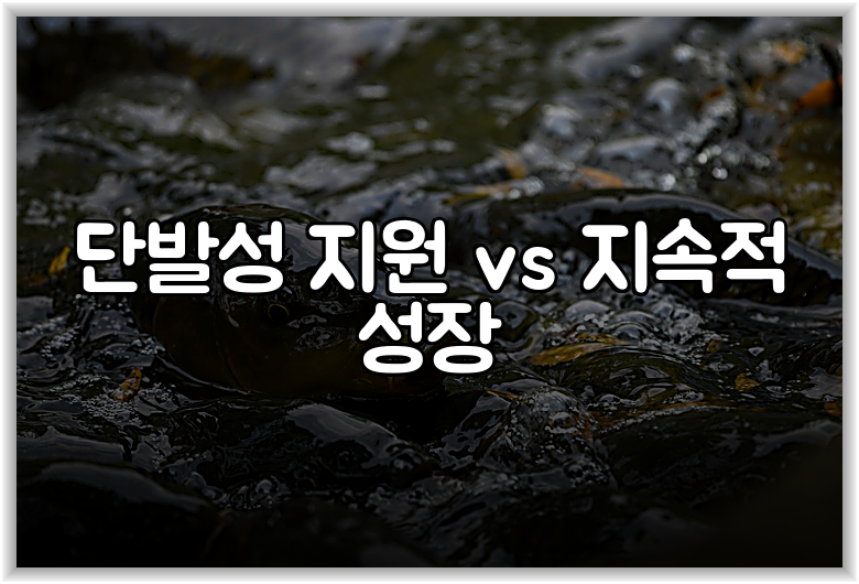 단발성 지원 vs 지속적 성장