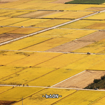 11월에 가볼만한 국내 여행지
