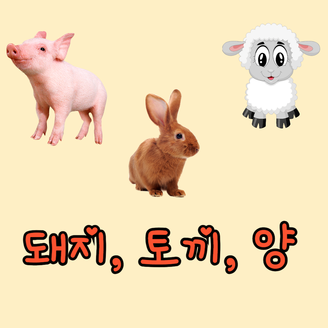 돼지, 토끼, 양