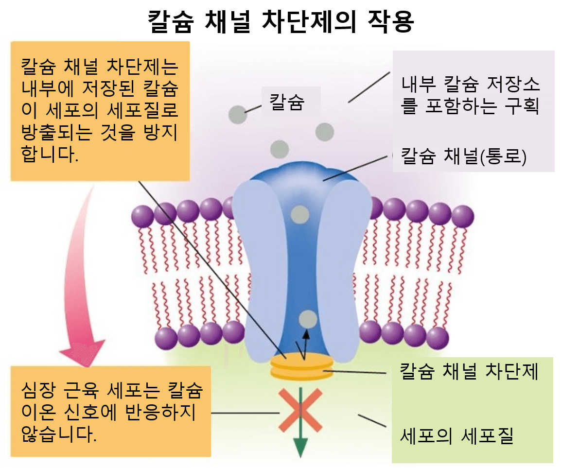 고혈압