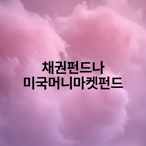 채권펀드나 미국머니마켓펀드