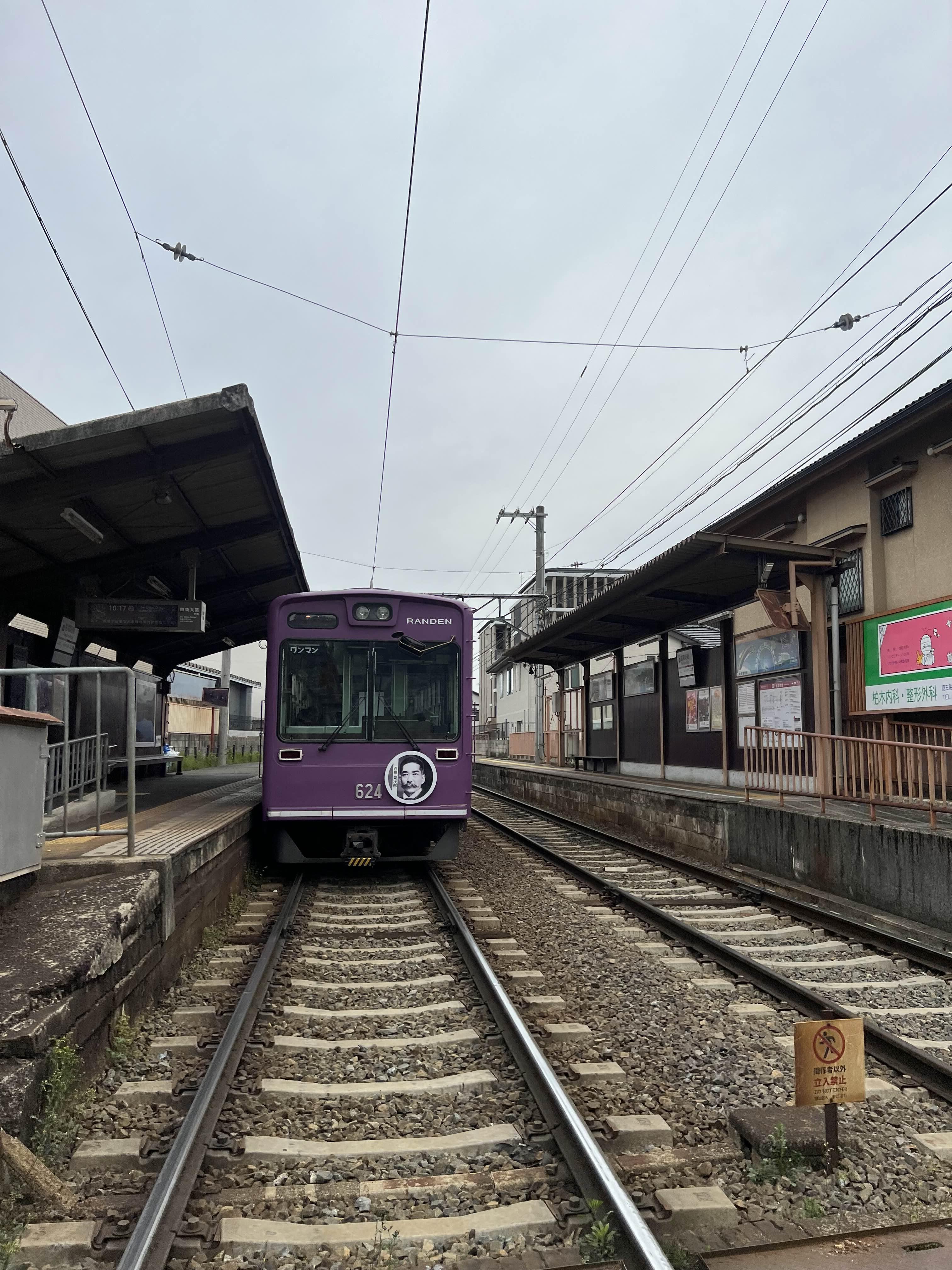 란덴열차 벚꽃터널 못 찾겠는데요