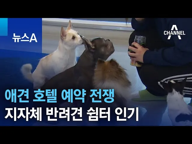 호텔예약 사이트 추천 아고다 트리바고 해외 국내_8