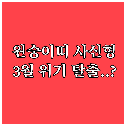 갑신년생 원숭이띠 2026년 3월 사..