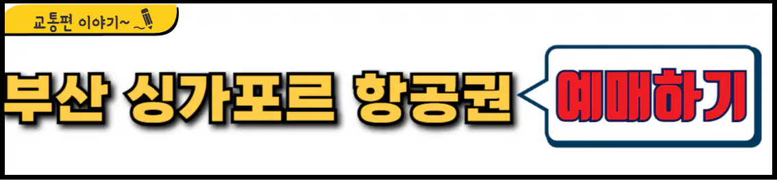 부산 싱가포르 항공권 예매