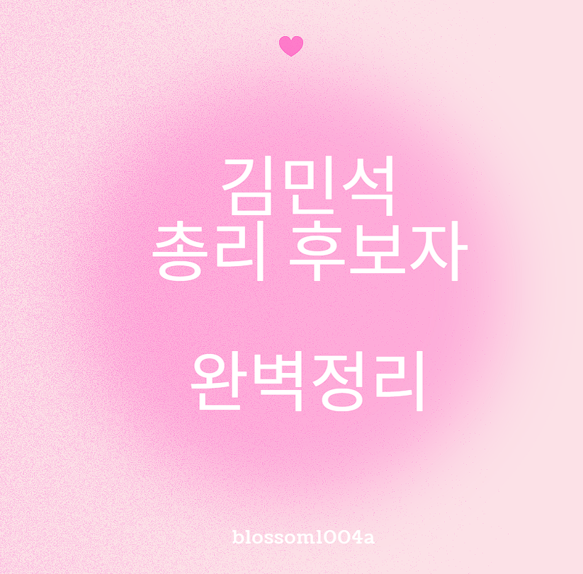 김민석의원 국무총리 후보자 완벽정리