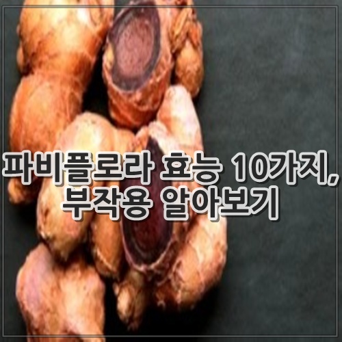 파비플로라 효능 10가지, 부작용 알아보기