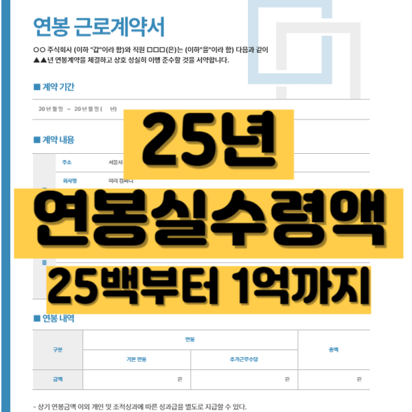 2025년 연봉 실수령액