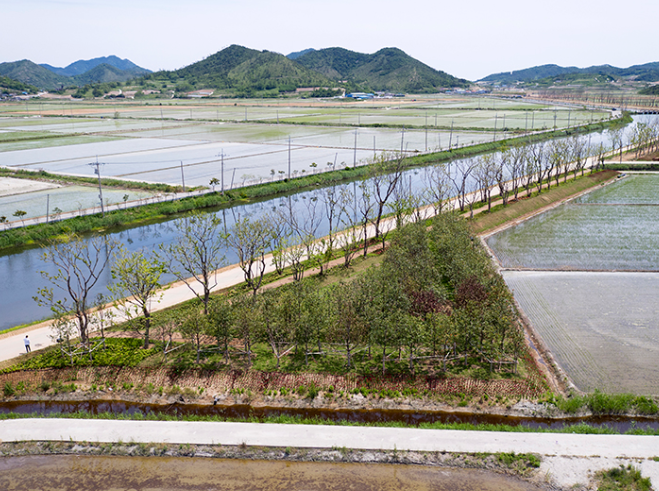 도초도 환상의정원&middot;팽나무10리길