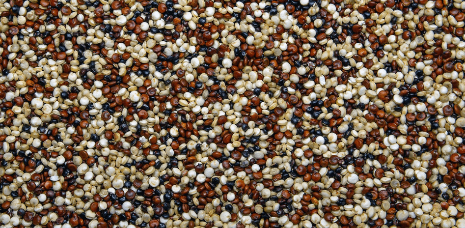 철분이 많은 음식과 관련 된 사진 - 203300