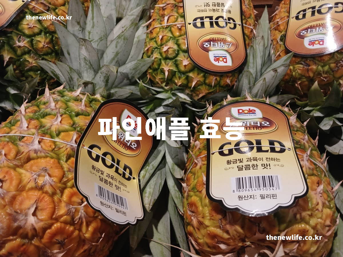 파인애플 효능 대표 실사진