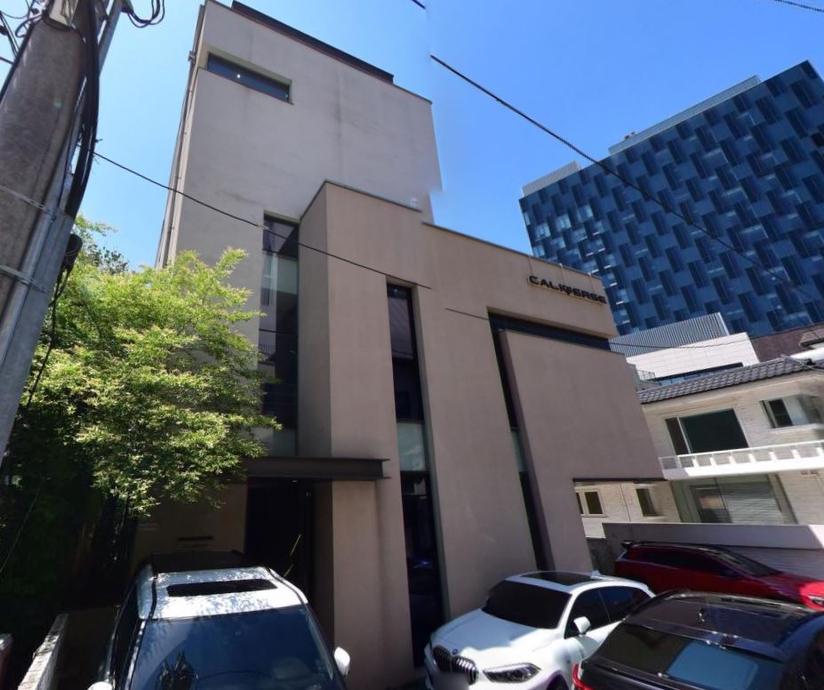 윤아 청담동 빌딩 건물 부동산 투자