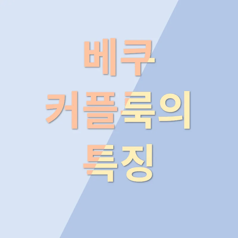 베쿠 반려견 커플룩_1