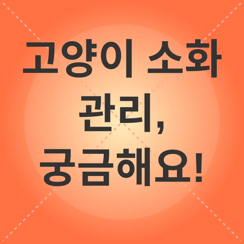 고양이 건강 관리_4