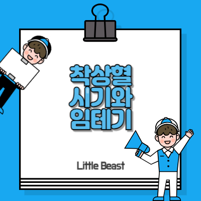 착상혈의 시기와 임신테스트기