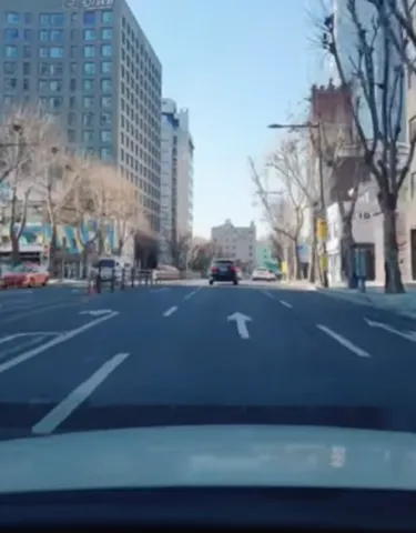 좌회선 표시 있는 차선에서 직진했을 때