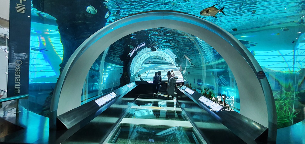 부산 실내 전시관 가볼만한곳 BEST 10
