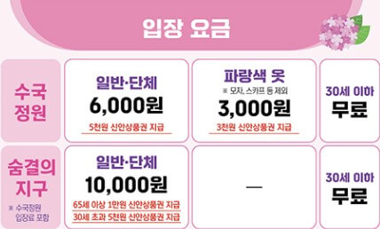 도초도 수국축제