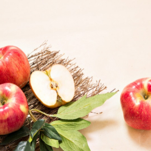 추석 인사 문구 문자15