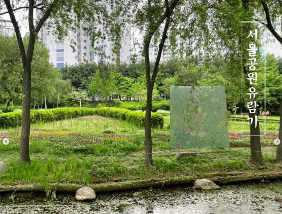 서울창포원 사계축제 꽃 기억해