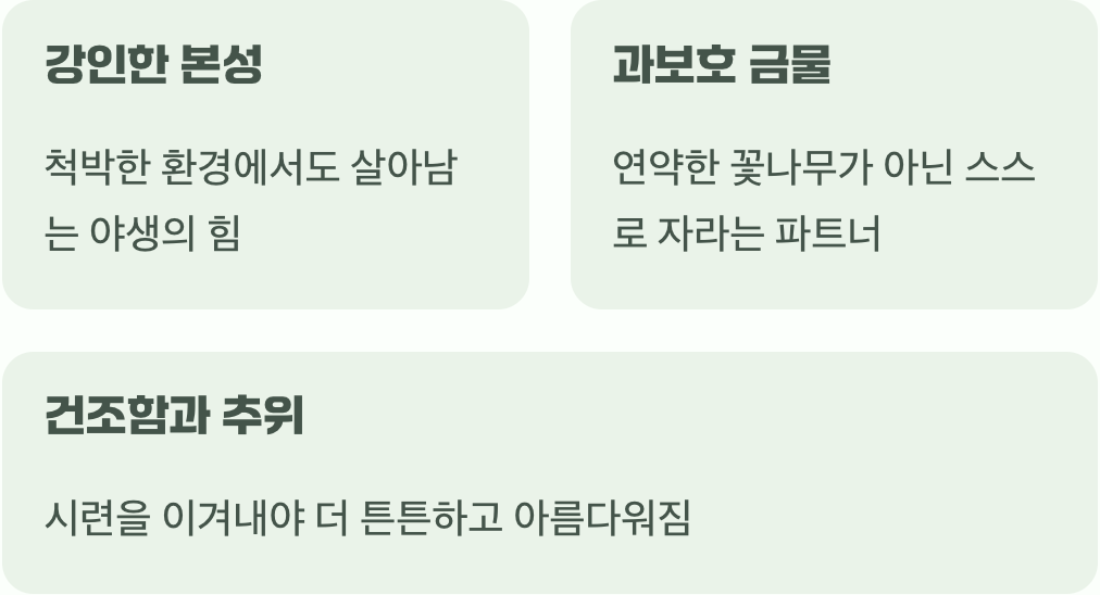 야생의 심장을 이해하기