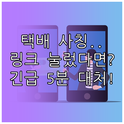 택배 사칭 스미싱 링크 실수 클릭 시..