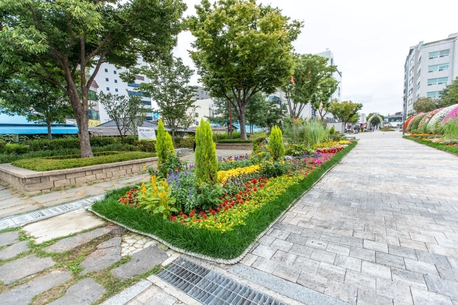 강릉 가볼만한곳 베스트 10