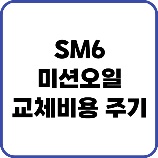 sm6 미션오일